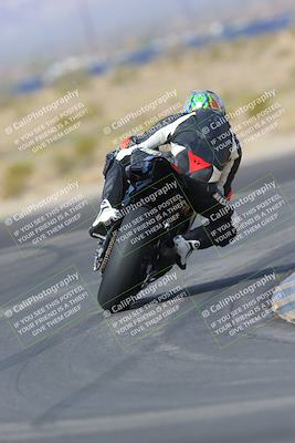 media/Mar-12-2023-SoCal Trackdays (Sun) [[d4c8249724]]/Turn 11 Backside (10am)/